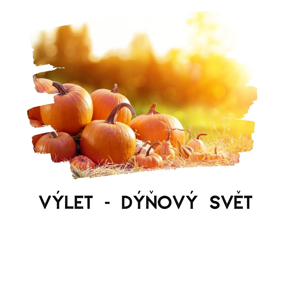 Výlet do